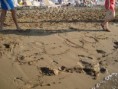 /album/photogallery/h-eefoe-paei-pantou-jpg/